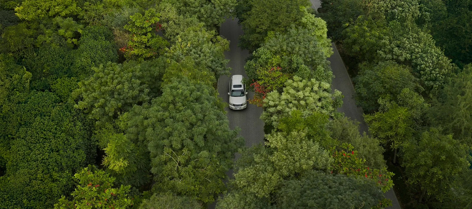Arada render of Layan, Masaar 3 (6 of 6)